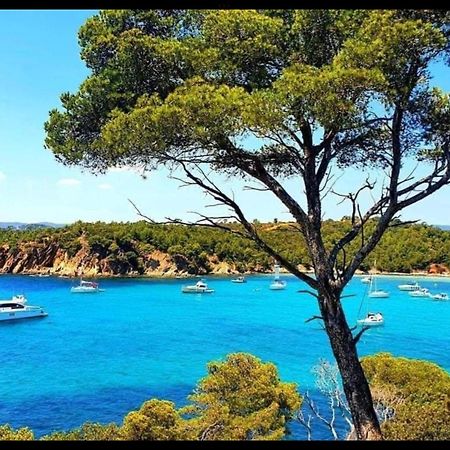 Appartement Pieds Dans L'Eau Vue Mer Bormes Les Mimosas 외부 사진