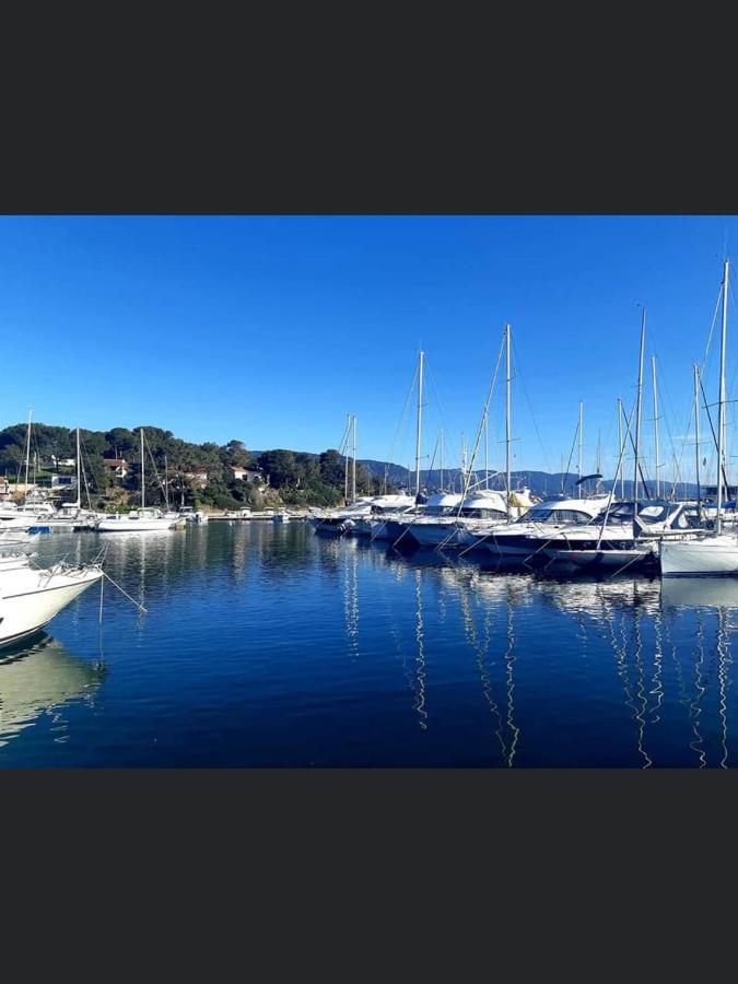 Appartement Pieds Dans L'Eau Vue Mer Bormes Les Mimosas 외부 사진