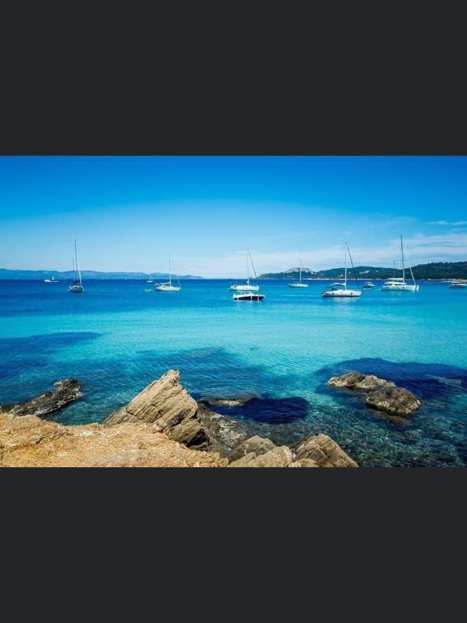Appartement Pieds Dans L'Eau Vue Mer Bormes Les Mimosas 외부 사진