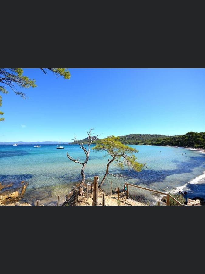 Appartement Pieds Dans L'Eau Vue Mer Bormes Les Mimosas 외부 사진