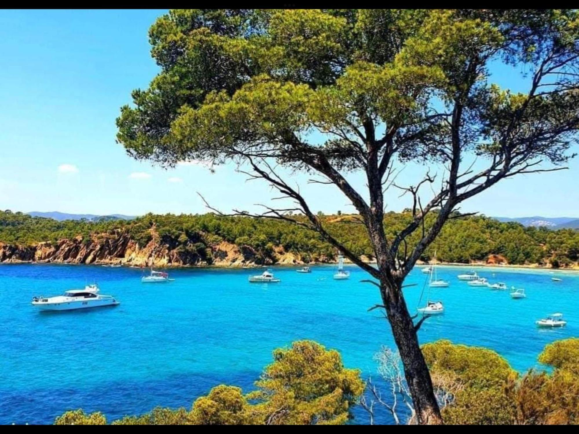 Appartement Pieds Dans L'Eau Vue Mer Bormes Les Mimosas 외부 사진
