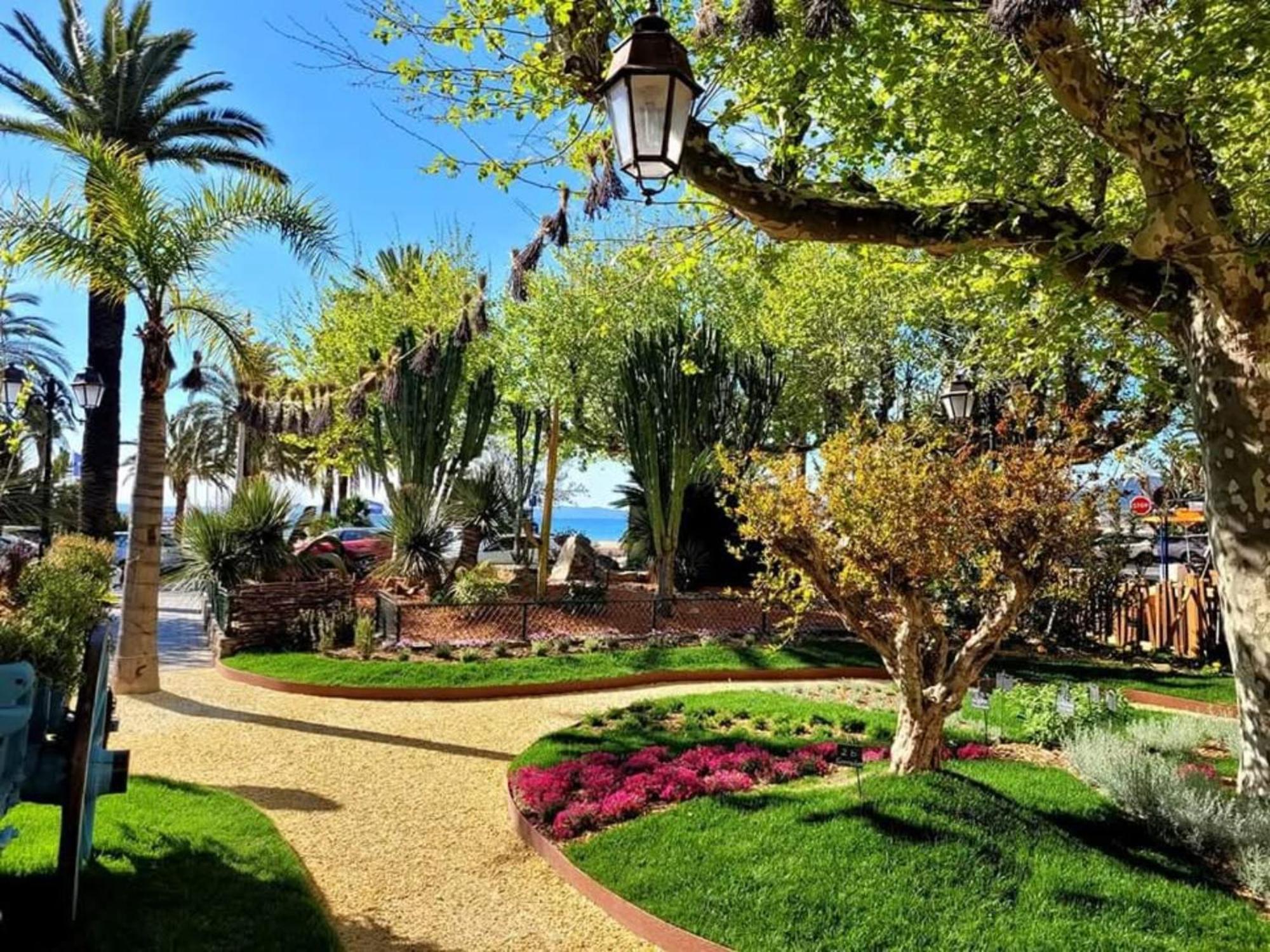 Appartement Pieds Dans L'Eau Vue Mer Bormes Les Mimosas 외부 사진